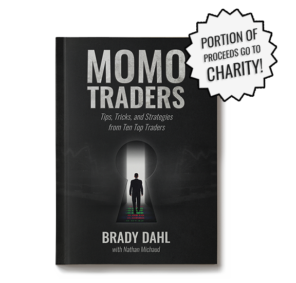 Momo traders. Методики торговли реально зарабатыва_0.png